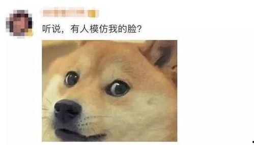 微信吃瓜的表情包怎么不见了,微信吃瓜表情包神秘消失之谜