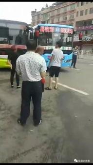 吃瓜群众的视频大全,揭秘娱乐圈幕后故事