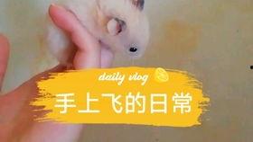 娱乐圈吃瓜背景板,揭秘幕后真相，吃瓜群众背后的故事