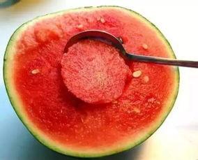 娱乐吃瓜酱美玉视频大全,美玉视频大全精彩回顾