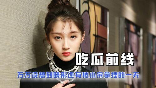 娱乐圈吃瓜巧合小说,意外巧合下的瓜田奇遇