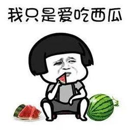 吃瓜娱乐去哪里了,揭秘幕后真相与未来走向