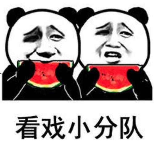 娱乐吃瓜酱图片表情包大全