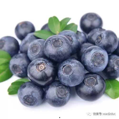 娱乐吃瓜酱蓝莓视频大全