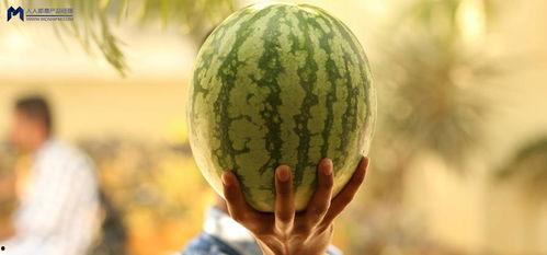 今年娱乐的吃瓜事件,盘点那些让人瞠目结舌的吃瓜事件